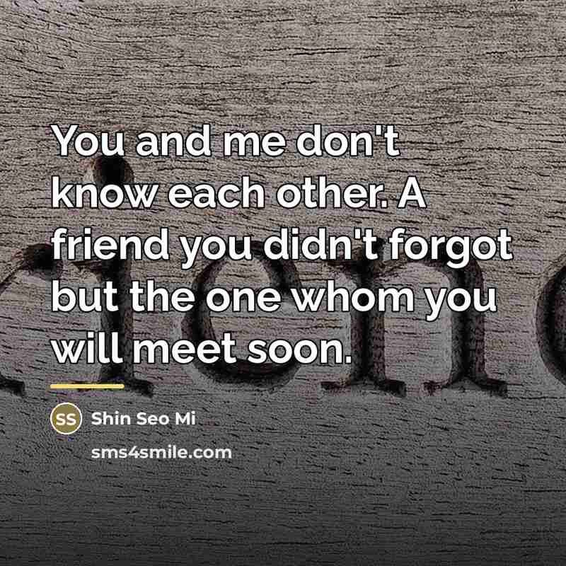 “You and me don't know each other. A friend you…” quote by Shin Seo Mi
