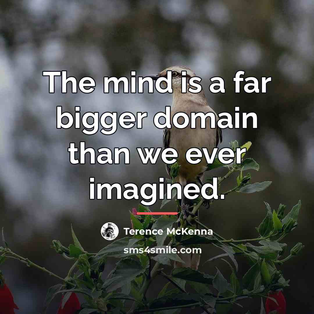 “The mind is a far bigger domain than we ever…” quote by Terence McKenna