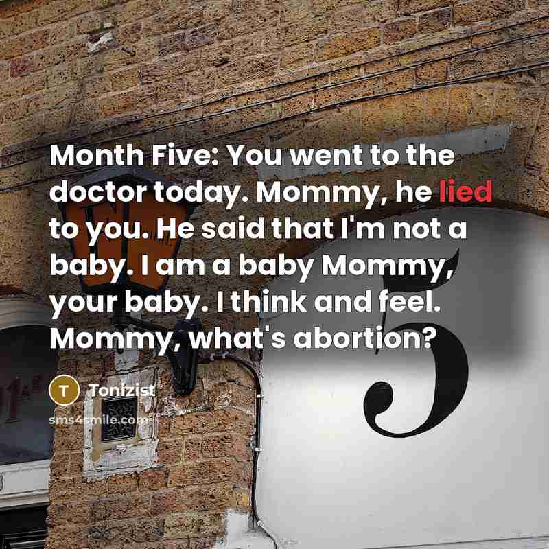 “Month Five: You went to the doctor today. Mommy, he…” quote by Tonizist