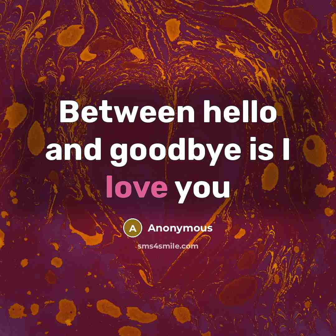“Between hello and goodbye is I love you” quote by Anonymous
