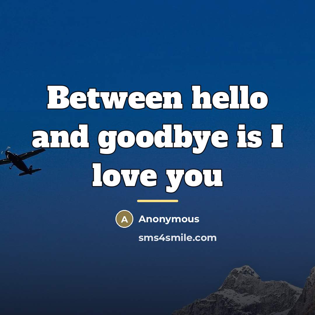 “Between hello and goodbye is I love you…” quote by Anonymous