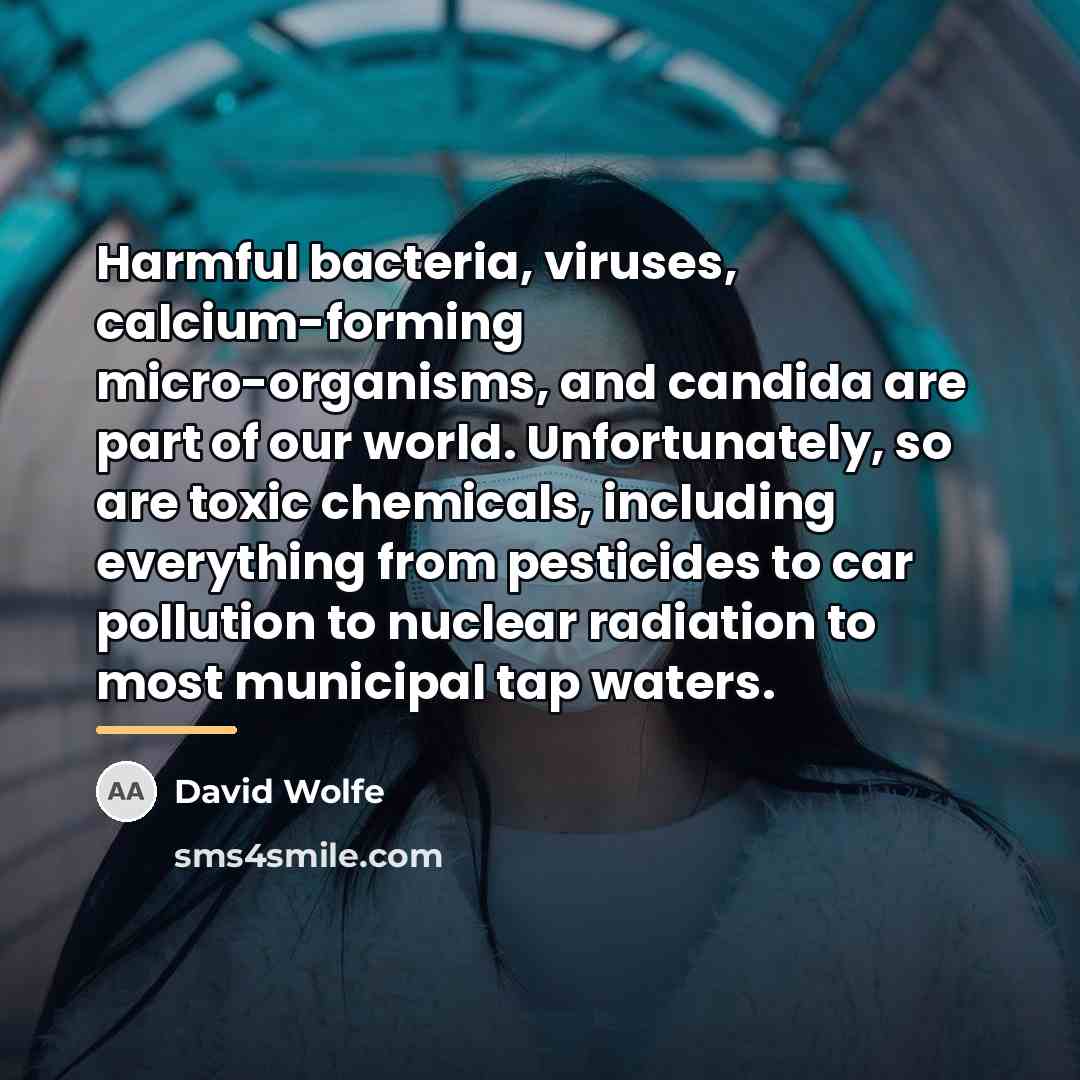“Harmful bacteria, viruses, calcium-forming micro-organisms, and candida are part of…” quote by David Wolfe