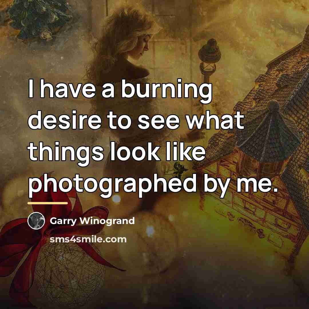 “I have a burning desire to see what things look…” quote by Garry Winogrand