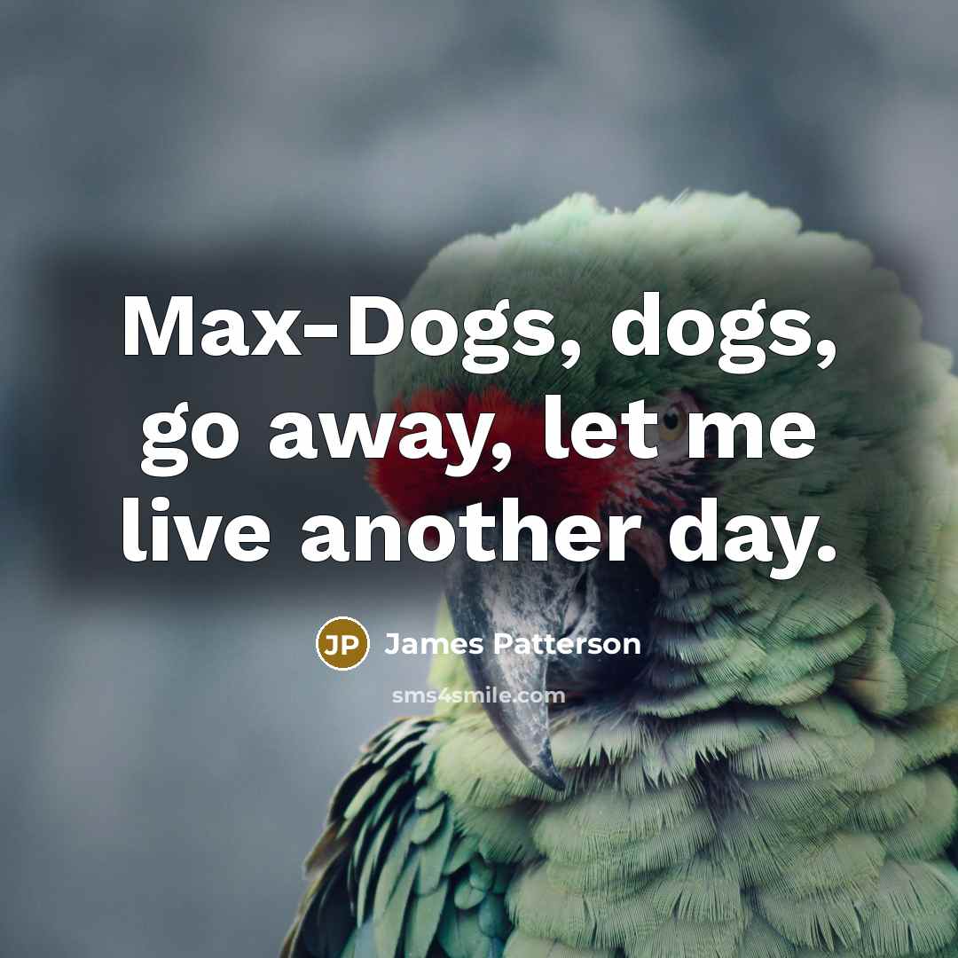 “Max-Dogs, dogs, go away, let me live another day.” quote by James Patterson