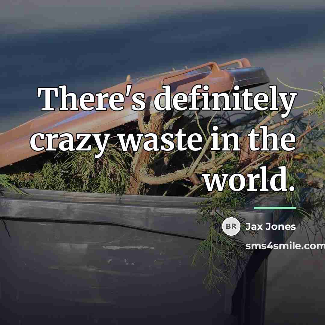 “There's definitely crazy waste in the world.…” quote by Jax Jones