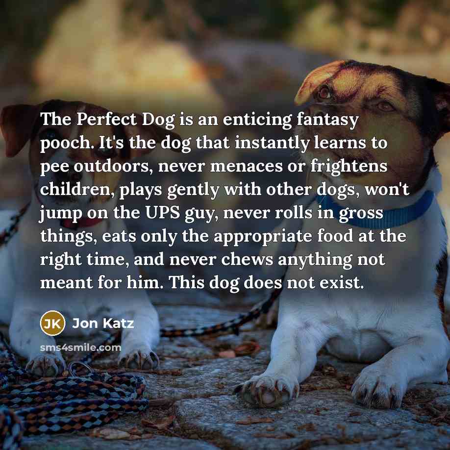 “The Perfect Dog is an enticing fantasy pooch. It's the…” quote by Jon Katz
