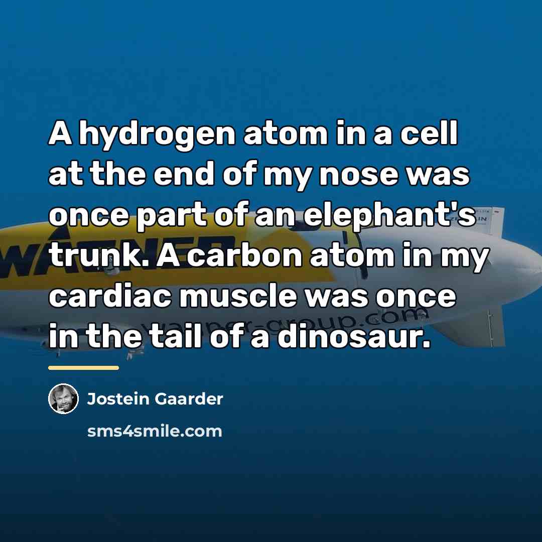 “A hydrogen atom in a cell at the end of…” quote by Jostein Gaarder