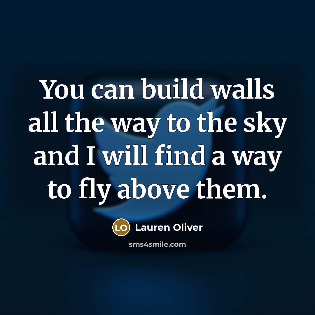 “You can build walls all the way to the sky…” quote by Lauren Oliver