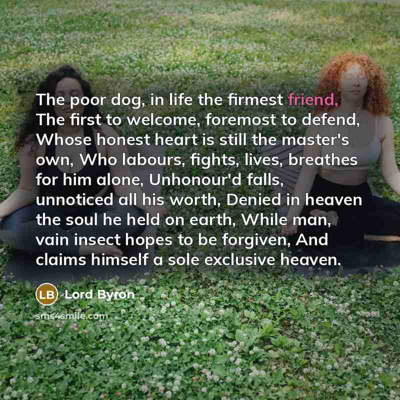“The poor dog, in life the firmest friend, The first…” quote by Lord Byron