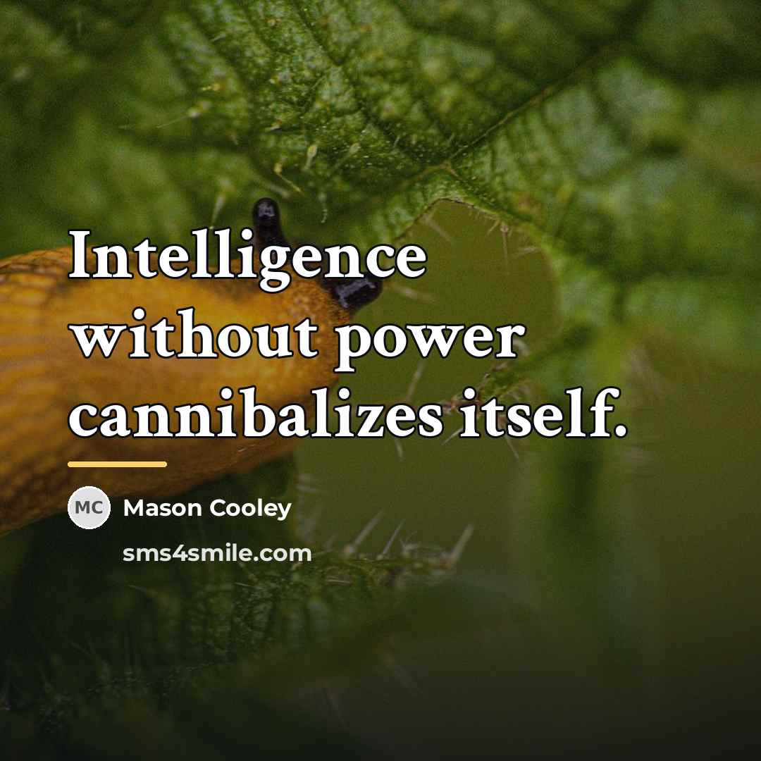 “Intelligence without power cannibalizes itself.…” quote by Mason Cooley