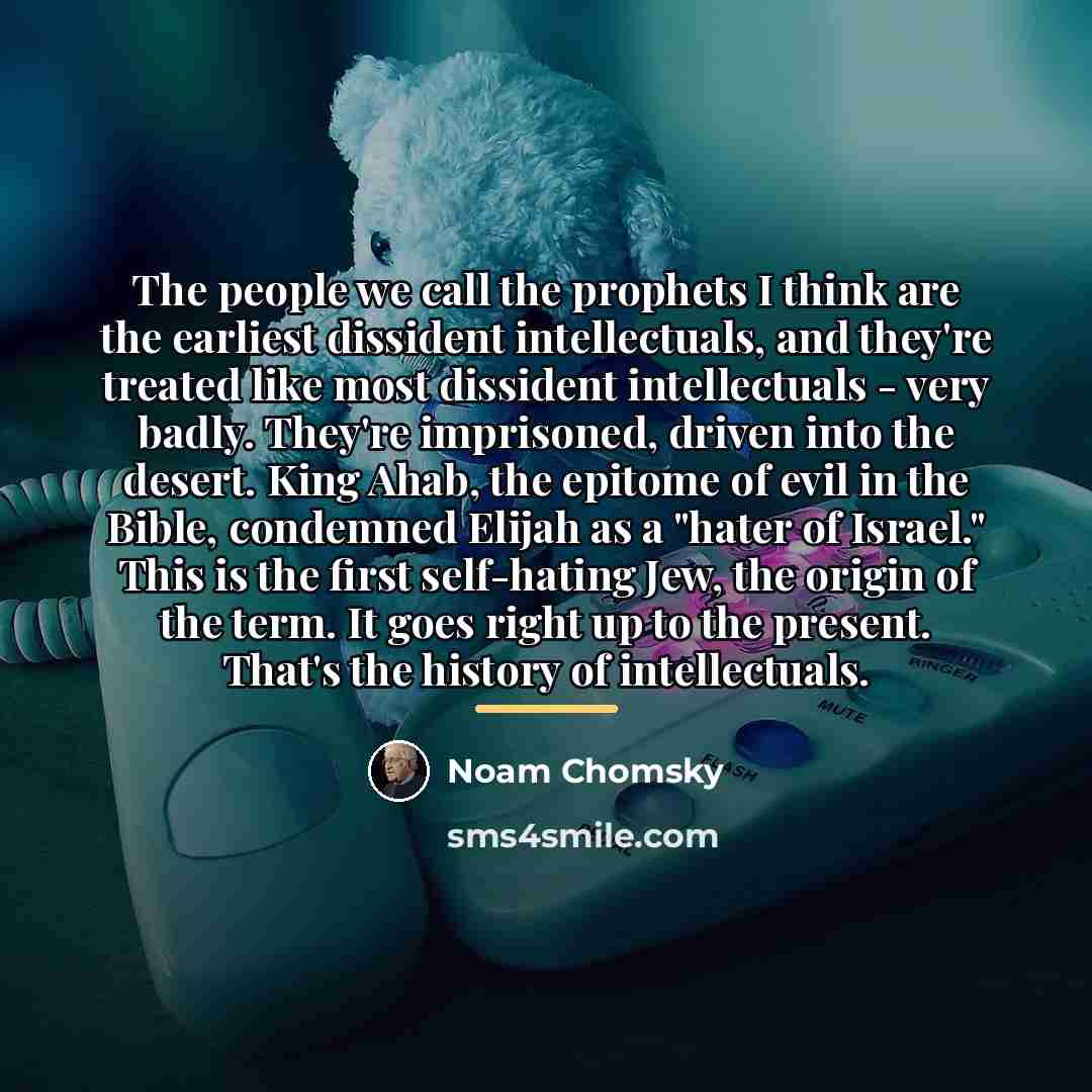 “The people we call the prophets I think are the…” quote by Noam Chomsky