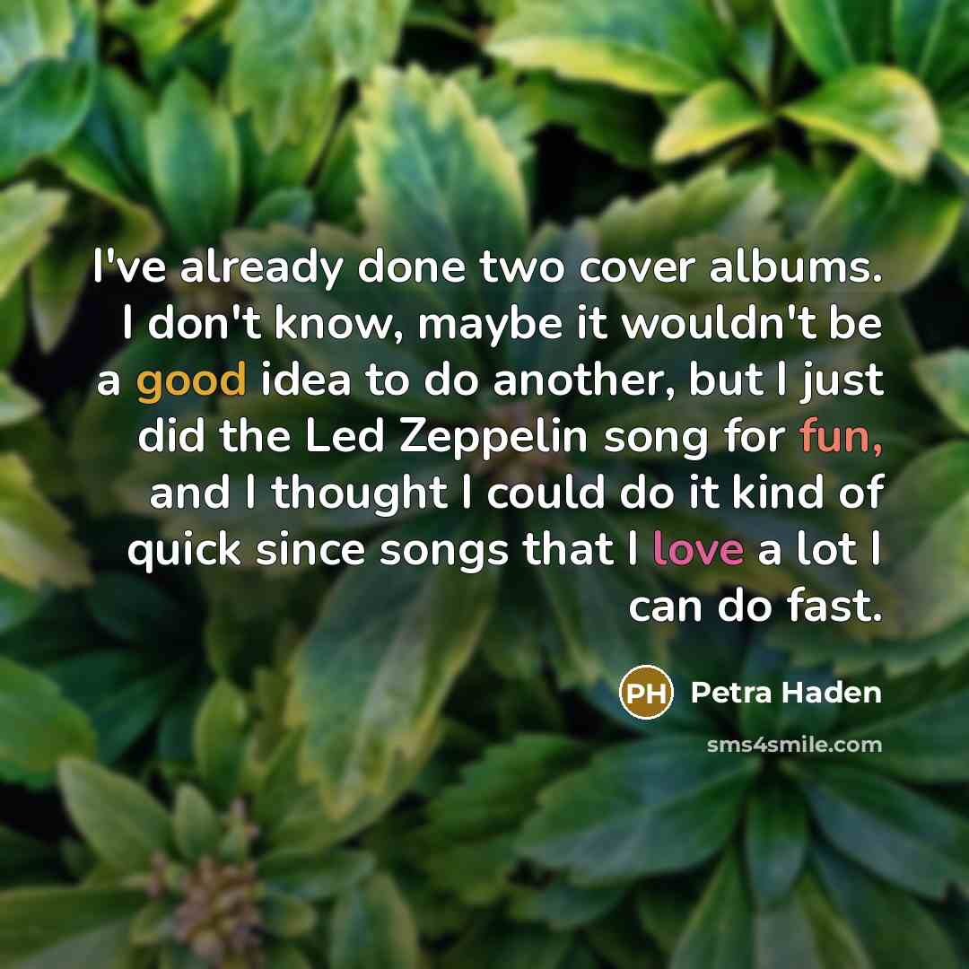 “I've already done two cover albums. I don't know, maybe…” quote by Petra Haden