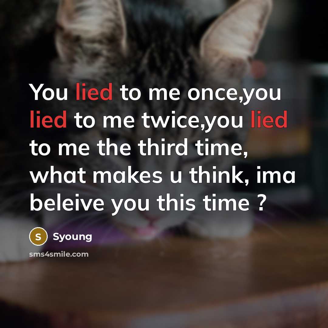 “You lied to me once,you lied to me twice,you lied…” quote by Syoung