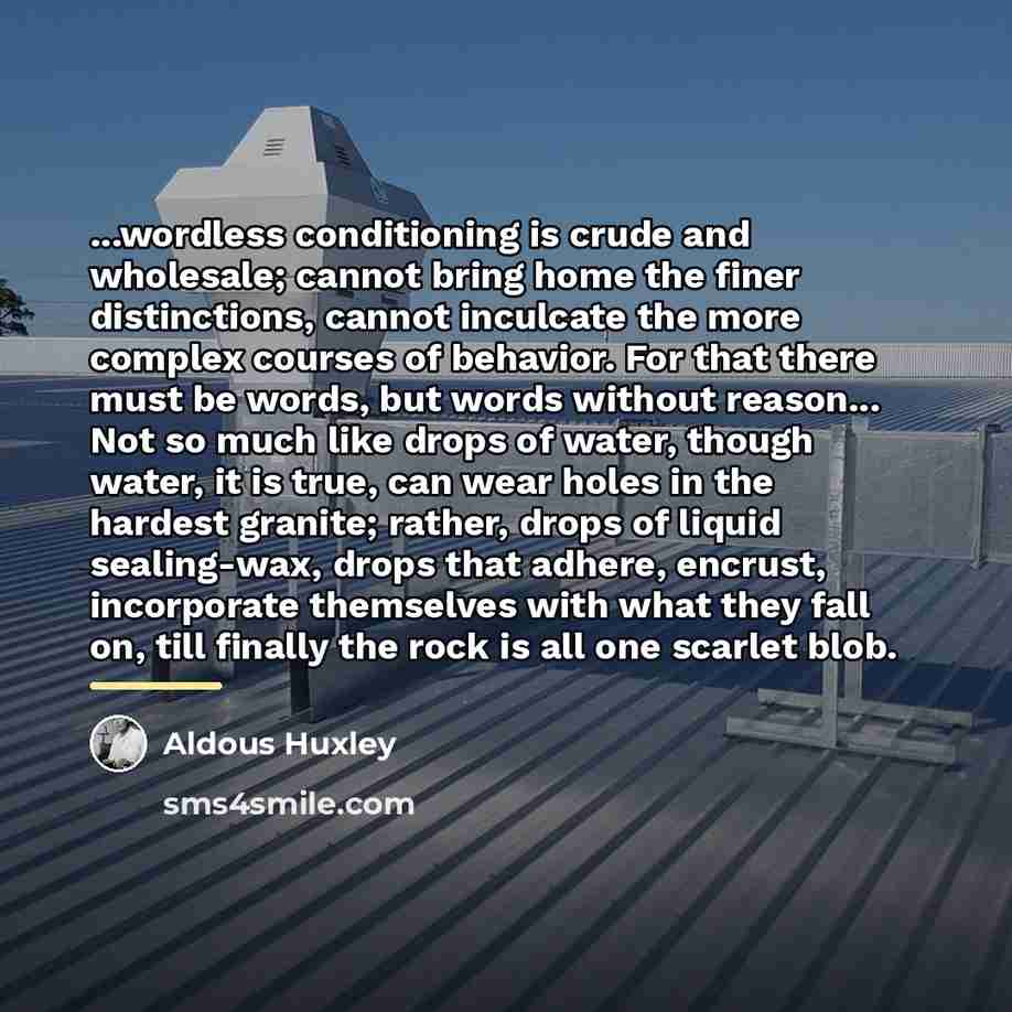 “...wordless conditioning is crude and wholesale; cannot bring home the…” quote by Aldous Huxley