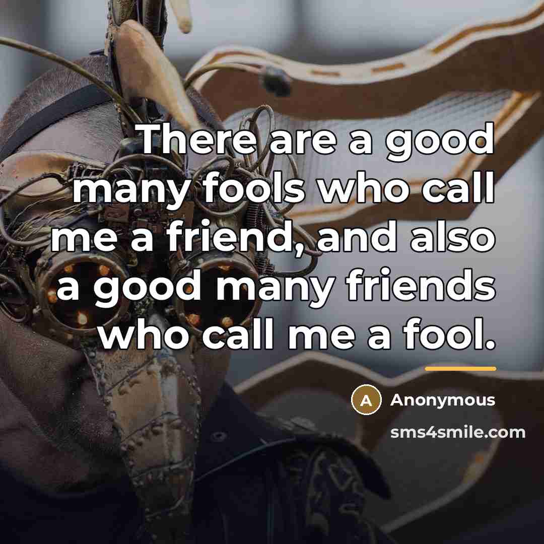 “There are a good many fools who call me a…” quote by Anonymous