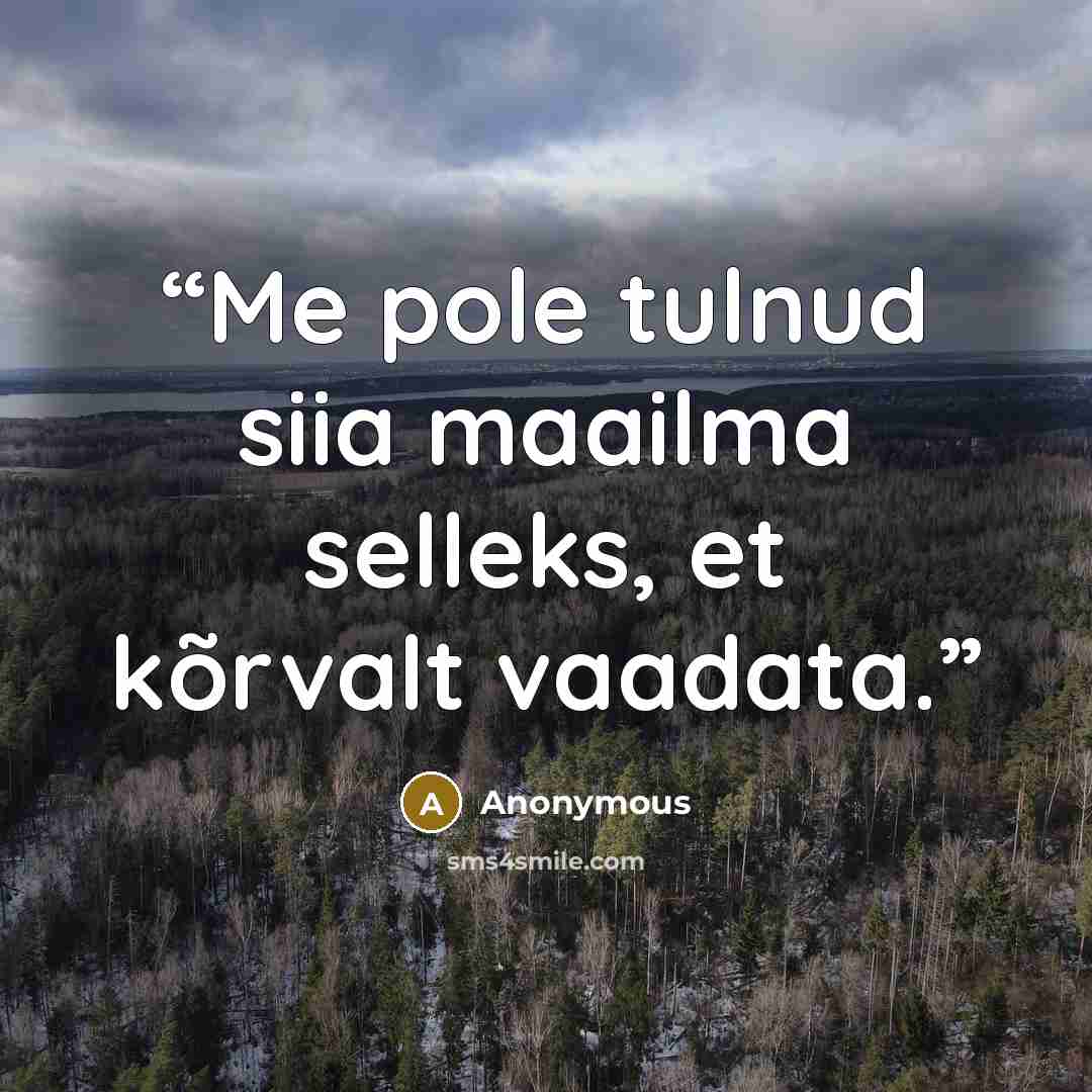 “Me pole tulnud siia maailma selleks, et kõrvalt vaadata.” quote by Anonymous