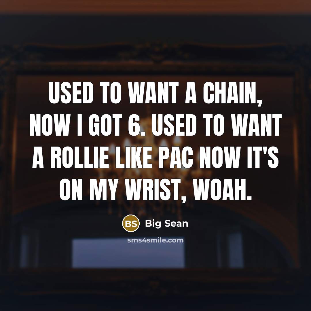 “Used to want a chain, now I got 6. Used…” quote by Big Sean
