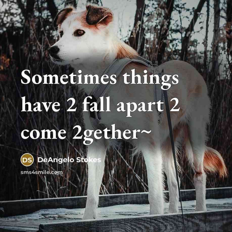 “Sometimes things have 2 fall apart 2 come 2gether~” quote by DeAngelo Stokes