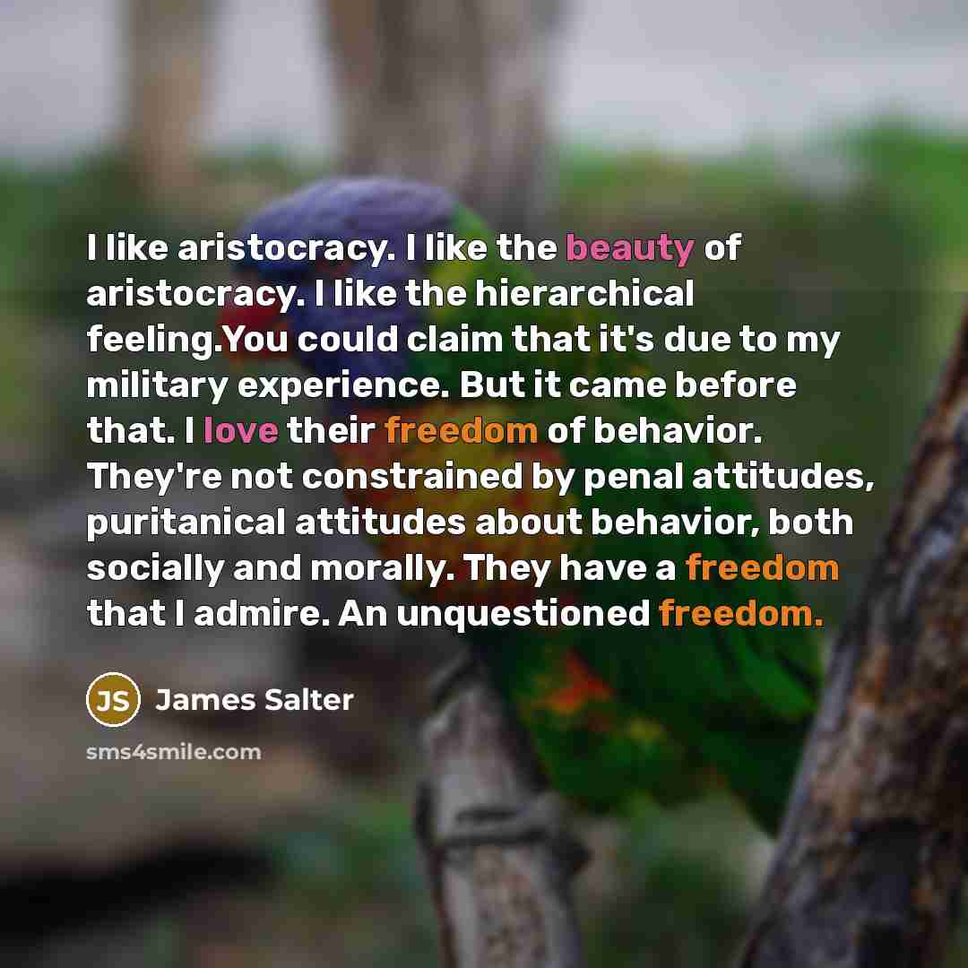 “I like aristocracy. I like the beauty of aristocracy. I…” quote by James Salter