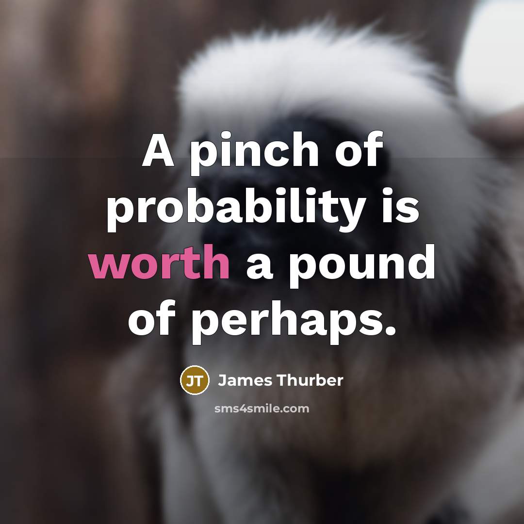 “A pinch of probability is worth a pound of perhaps.” quote by James Thurber