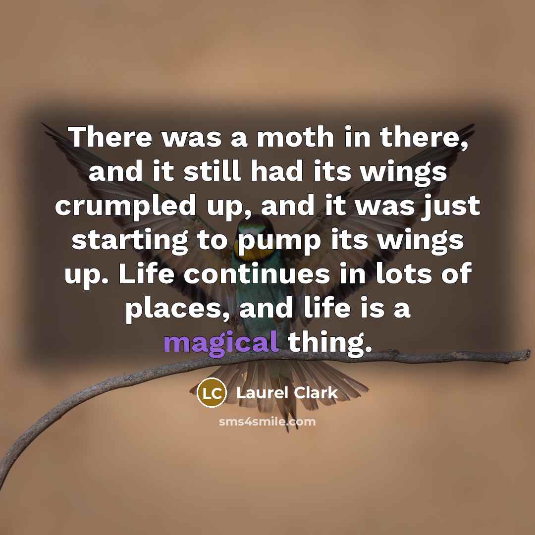 “There was a moth in there, and it still had…” quote by Laurel Clark