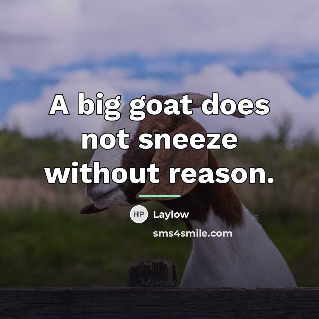 “A big goat does not sneeze without reason.…” quote by Laylow