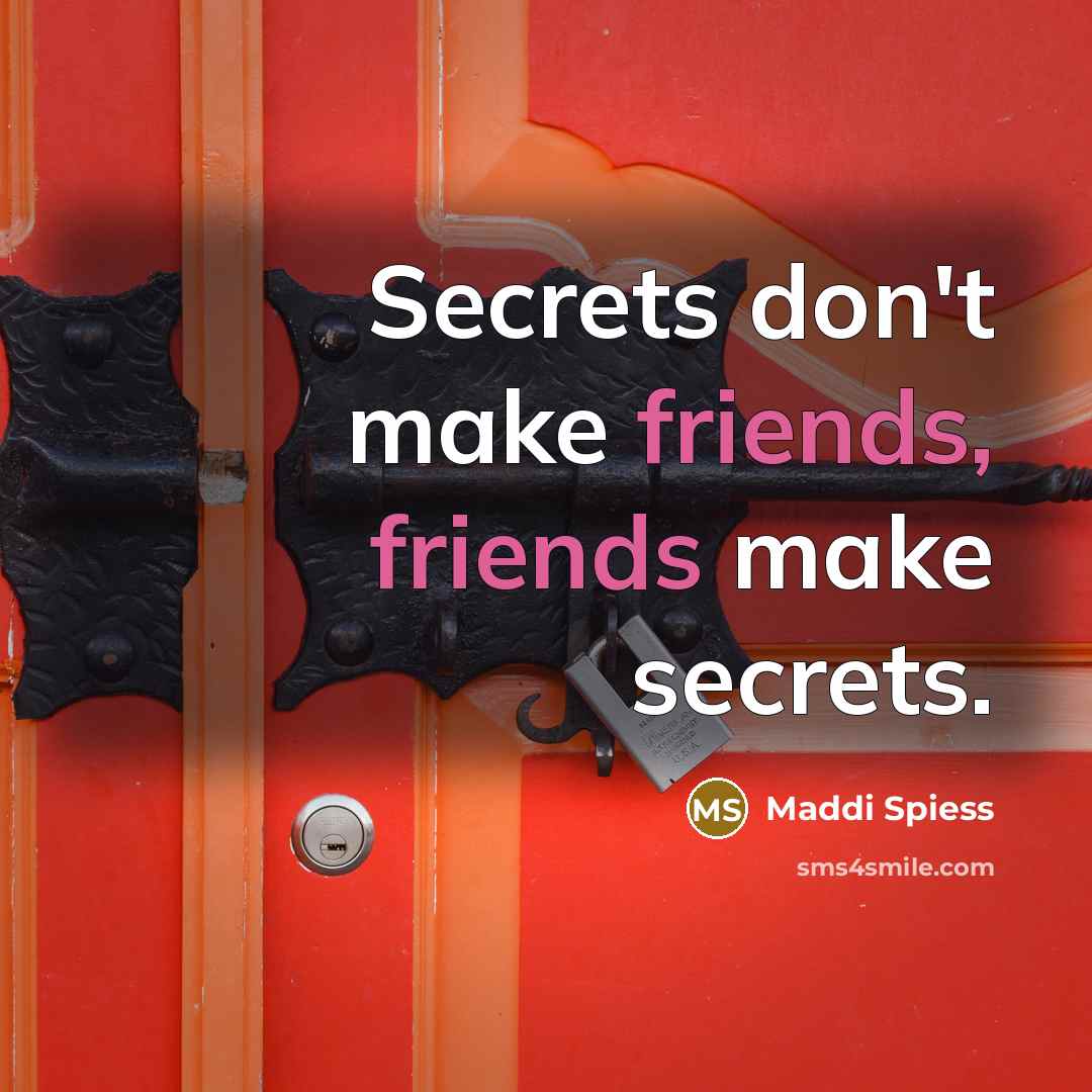 “Secrets don't make friends, friends make secrets.” quote by Maddi Spiess