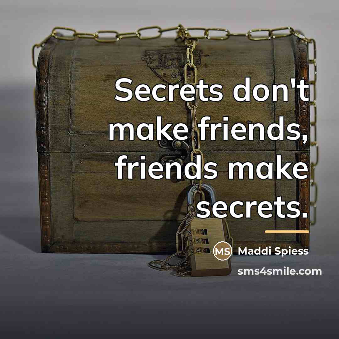 “Secrets don't make friends, friends make secrets.…” quote by Maddi Spiess