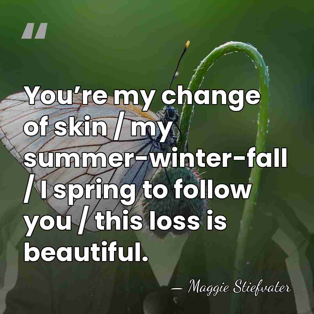You’re my change of skin / my summer-winter-fall / I spring to&hellip; - Maggie Stiefvater
