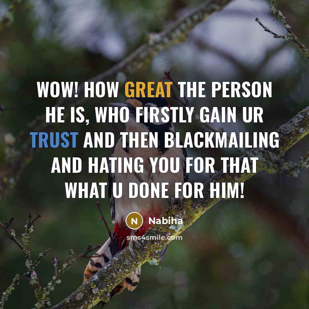 “Wow! how great the person he is, who firstly gain ur trust and then blackmailing and hating you for that what u done for him!” quote by Nabiha