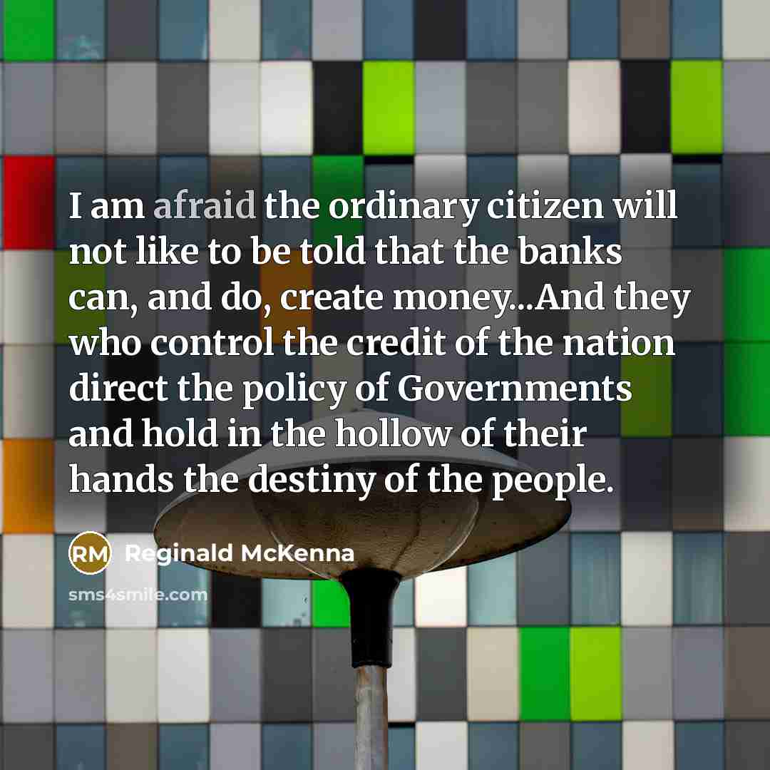 “I am afraid the ordinary citizen will not like to…” quote by Reginald McKenna