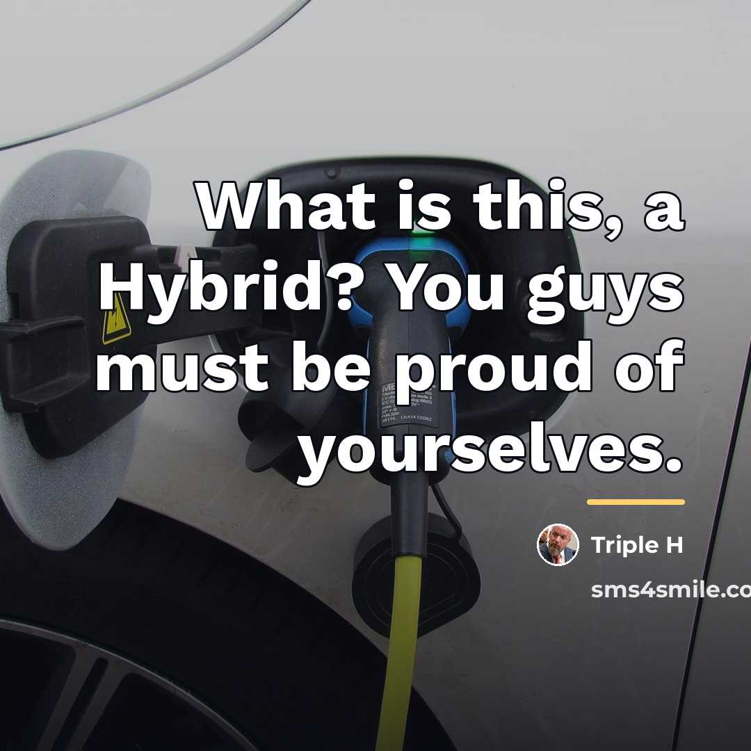 “What is this, a Hybrid? You guys must be proud…” quote by Triple H