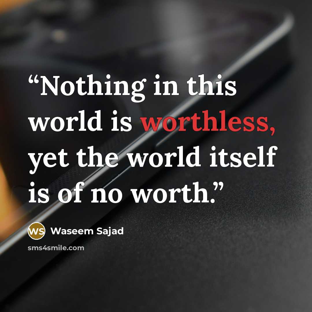 “Nothing in this world is worthless, yet the world itself is of no worth.” quote by Waseem Sajad