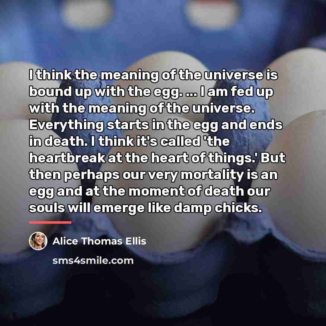 “I think the meaning of the universe is bound up…” quote by Alice Thomas Ellis