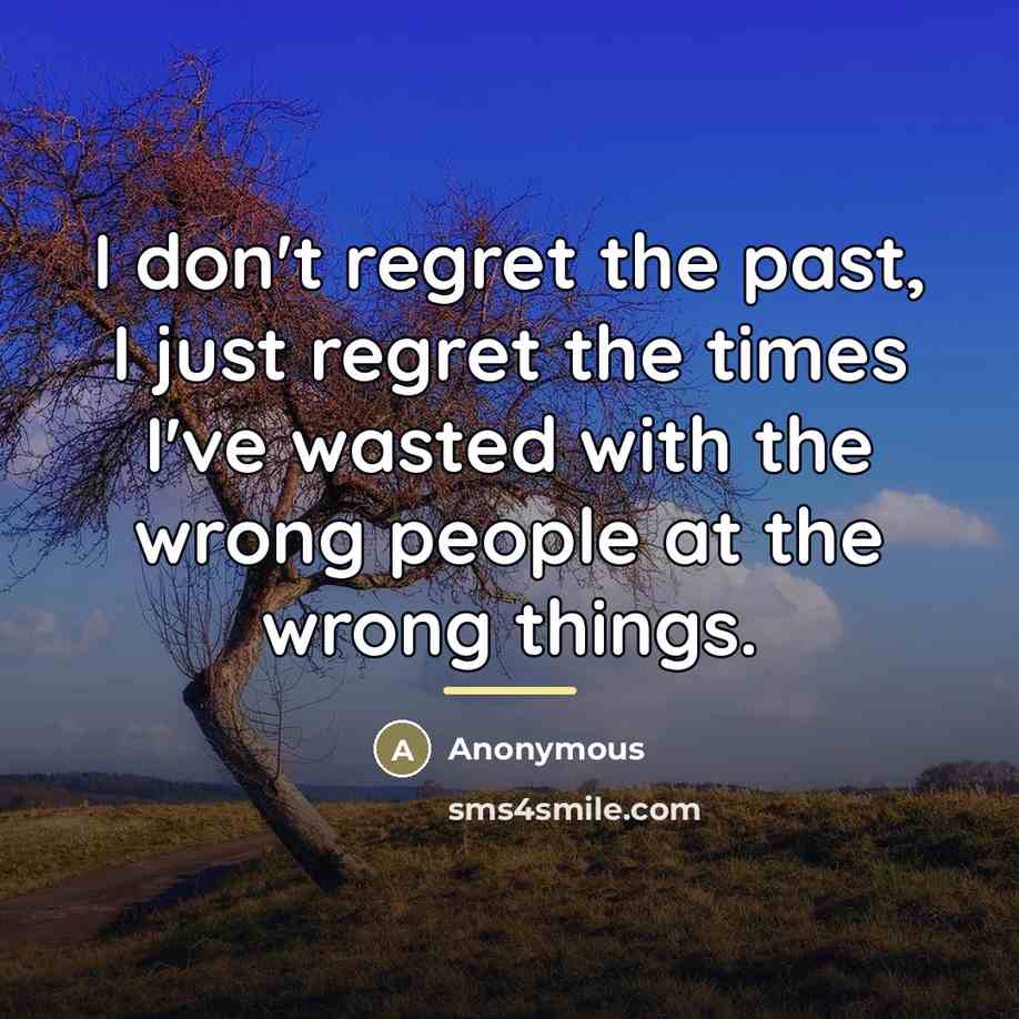 “I don't regret the past, I just regret the times…” quote by Anonymous