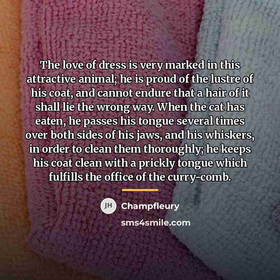 “The love of dress is very marked in this attractive…” quote by Champfleury