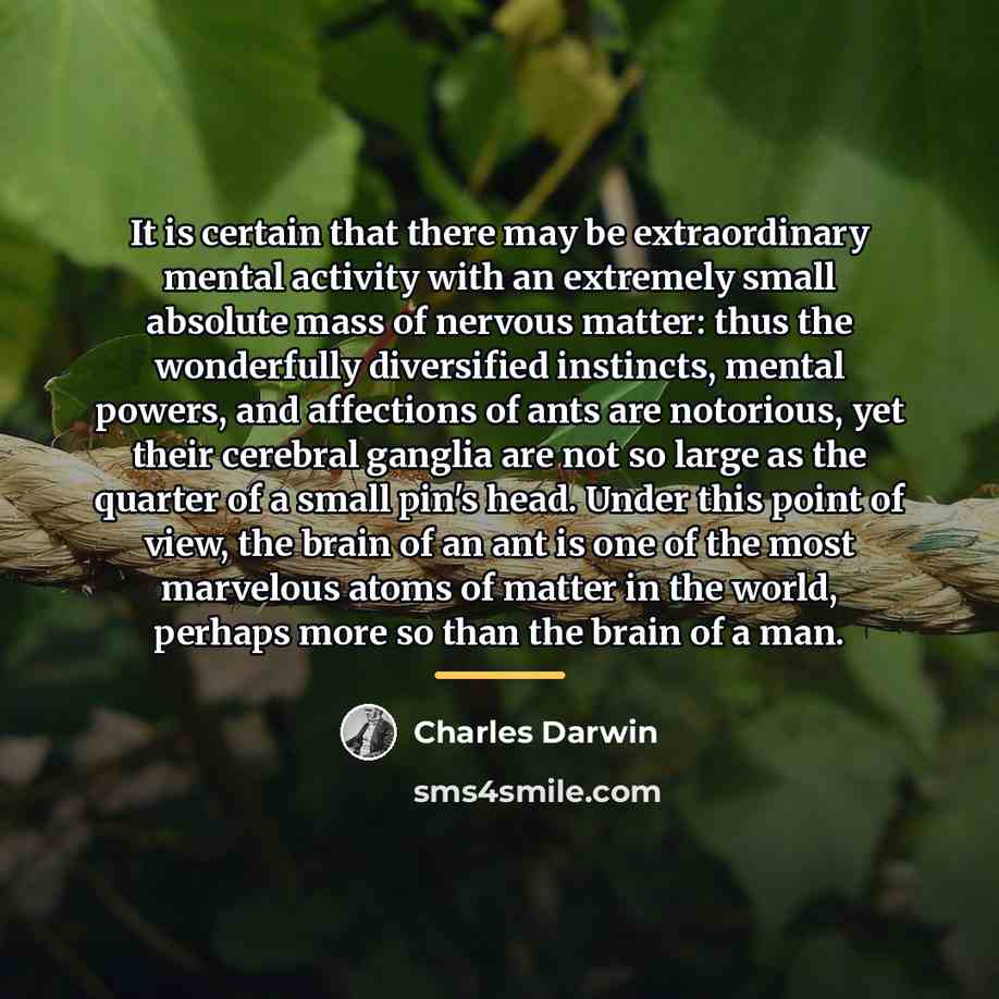 “It is certain that there may be extraordinary mental activity…” quote by Charles Darwin