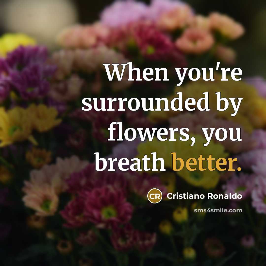 “When you're surrounded by flowers, you breath better.” quote by Cristiano Ronaldo