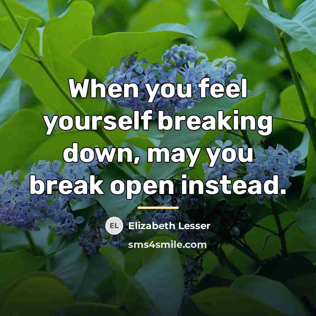 “When you feel yourself breaking down, may you break open…” quote by Elizabeth Lesser