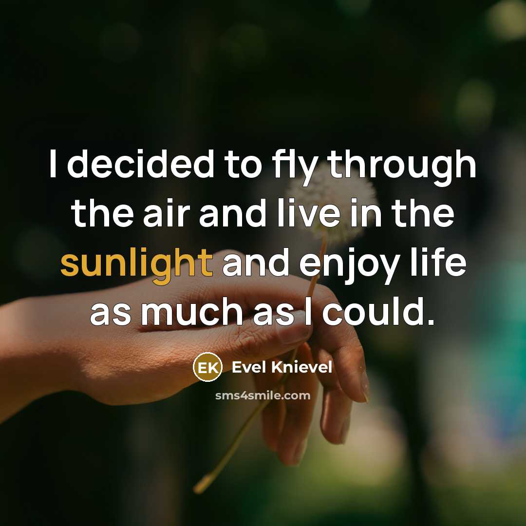 “I decided to fly through the air and live in…” quote by Evel Knievel