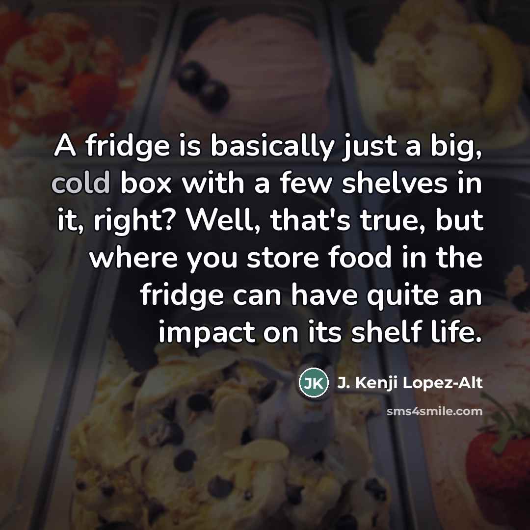 “A fridge is basically just a big, cold box with…” quote by J. Kenji Lopez-Alt