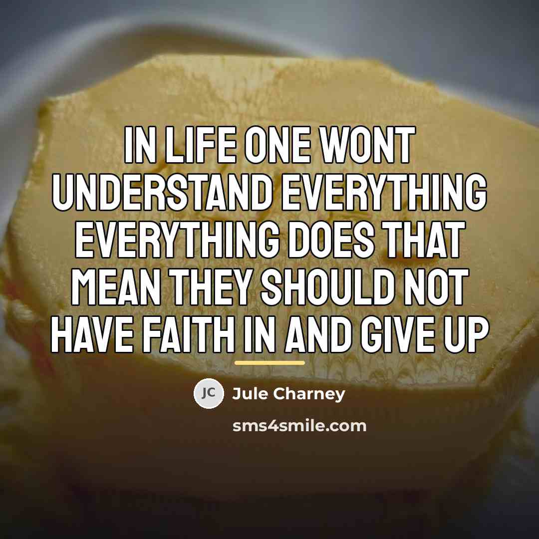 “In life one wont understand everything everything does that mean…” quote by Jule Charney