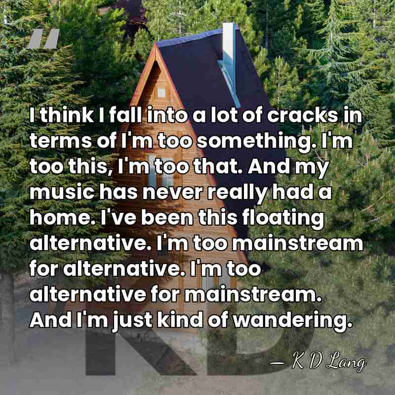 I think I fall into a lot of cracks in terms of&hellip; - K D Lang