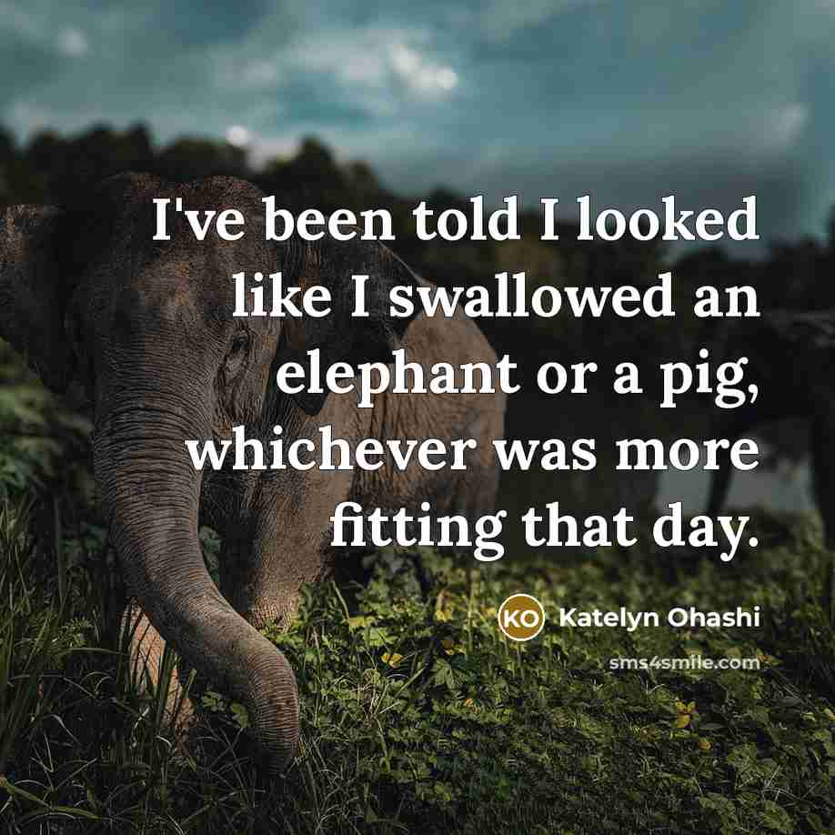 “I've been told I looked like I swallowed an elephant…” quote by Katelyn Ohashi