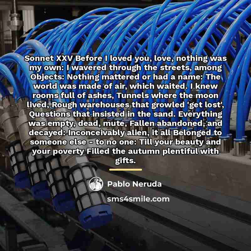 “Sonnet XXV Before I loved you, love, nothing was my…” quote by Pablo Neruda