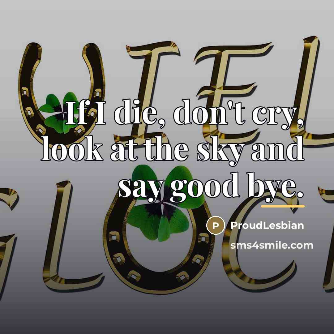 “If I die, don't cry, look at the sky and…” quote by ProudLesbian