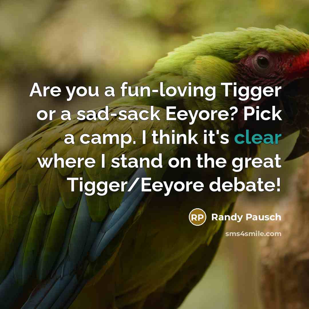 “Are you a fun-loving Tigger or a sad-sack Eeyore? Pick…” quote by Randy Pausch