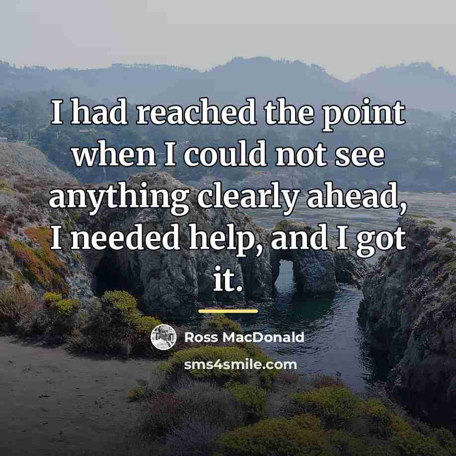 “I had reached the point when I could not see…” quote by Ross MacDonald