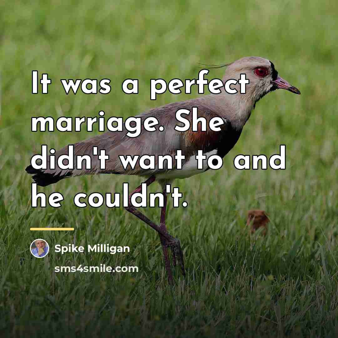 “It was a perfect marriage. She didn't want to and…” quote by Spike Milligan