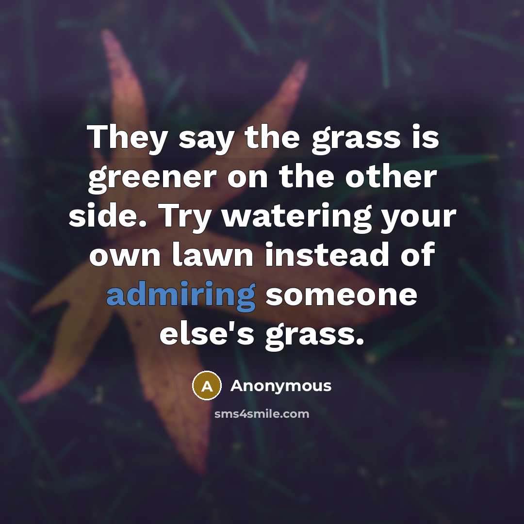 “They say the grass is greener on the other side. Try watering your own lawn instead of admiring someone else's grass.” quote by Anonymous
